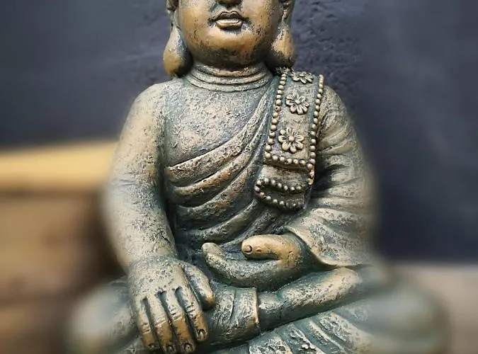 V&spa 2 D'hôtes Avec Privatif Dont Avec Un Sauna Couette-café 3*