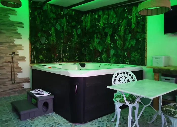 V&spa 2 D'hôtes Avec Privatif Dont Avec Un Sauna Saint-Martin-Boulogne