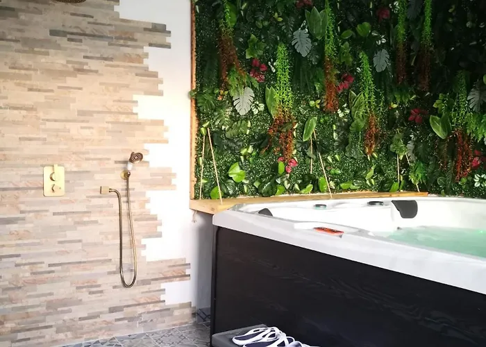 V&spa 2 D'hôtes Avec Privatif Dont Avec Un Sauna Saint-Martin-Boulogne